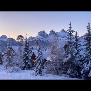 Meet your Posher, Jeanette